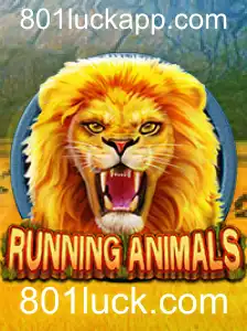 Conheça RunningAnimals: Estratégia e Diversão em Um Só Jogo